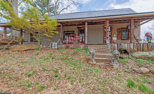 House in Flowery Branch, Georgia, United States 1