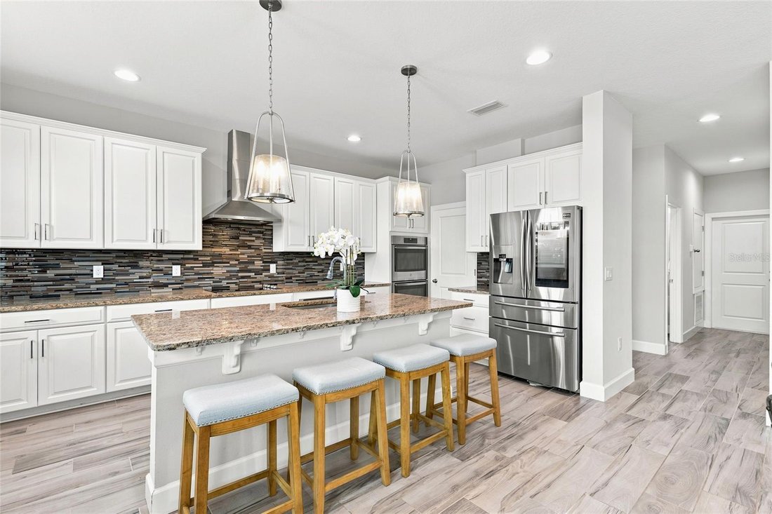 House in Wesley Chapel, Florida, United States 4 - 18499629