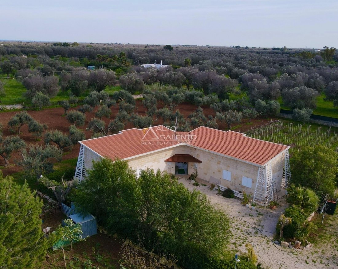 Villa in San Vito dei Normanni, Apulia, Italy 5 - 18502022
