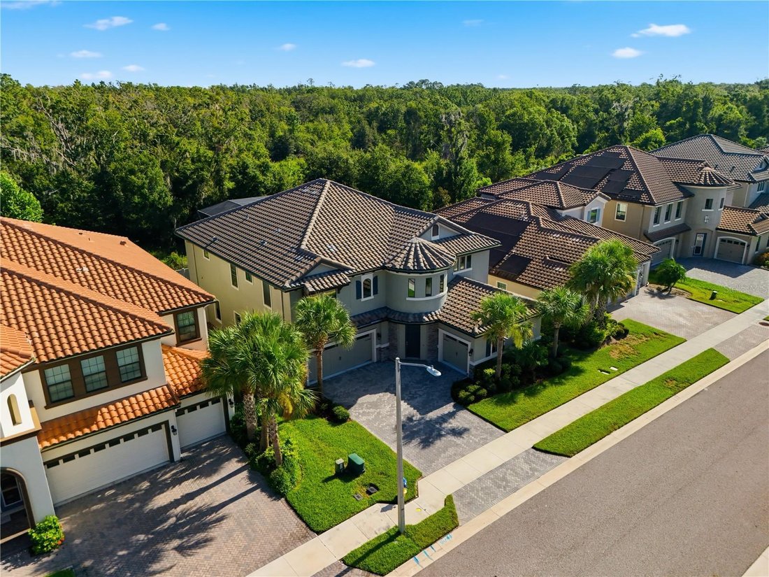 House in Land O' Lakes, Florida, United States 5 - 18499616
