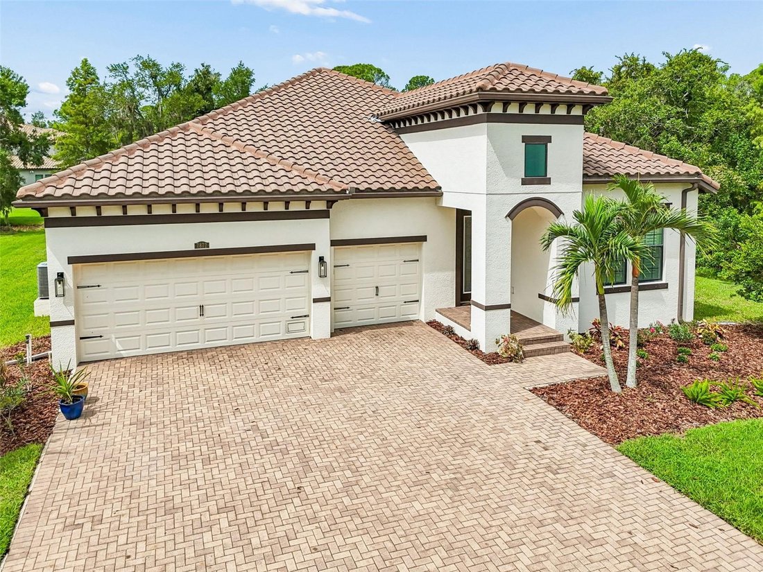 House in Tampa, Florida, United States 1 - 18499626