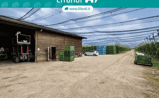 Land in Castions di Strada / Cjasteons di Strade, Friuli – Venezia Giulia, Italy 1