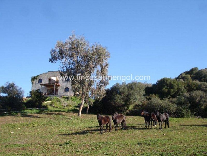 House in Alaior, Balearic Islands, Spain 1 - 18499339