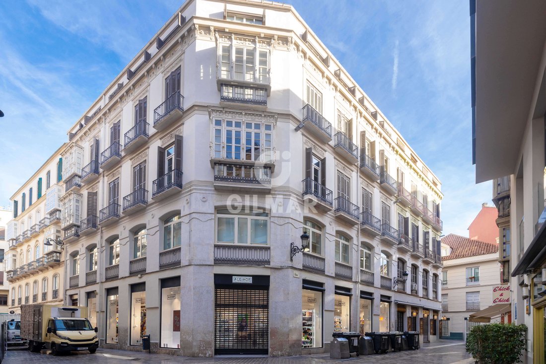 Apartment in Centro, Malaga, Spain 1 - 18499291
