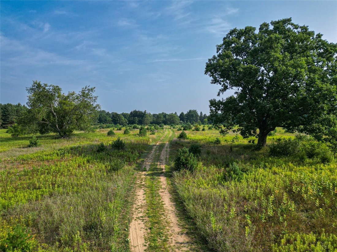 Land in Hartland, Michigan, United States 3 - 18504835