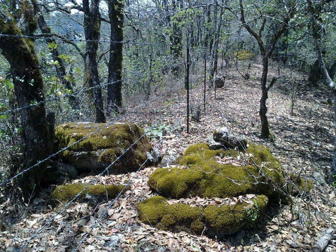 Land in Pozos, San Luis Potosi, Mexico 4 - 18500595
