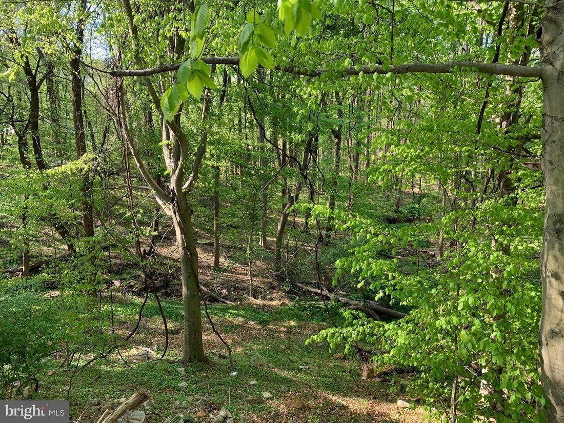 House in Broomall, Pennsylvania, United States 5 - 18507465