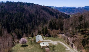 Anwesen in Zell, Zürich, Schweiz 2