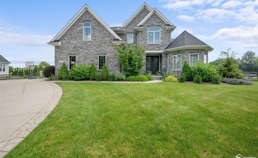 House in Lambertville, Michigan, United States 1