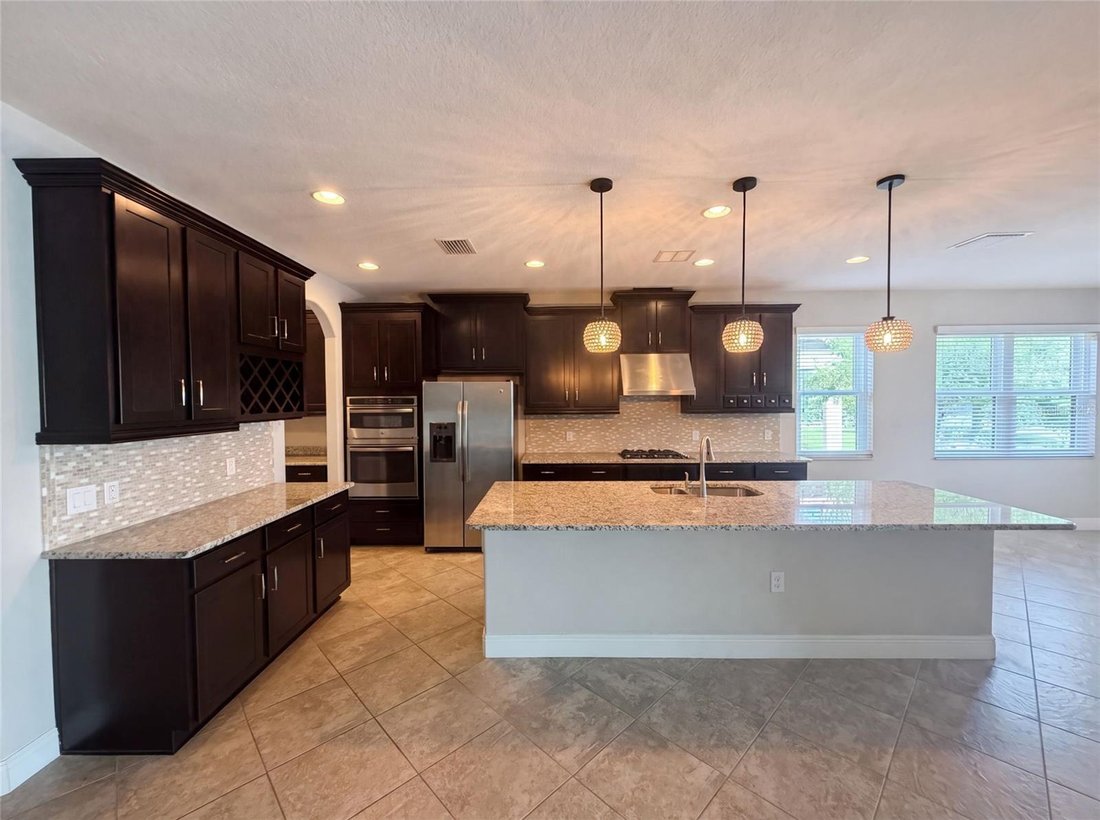 House in Palm Harbor, Florida, United States 4 - 18505664