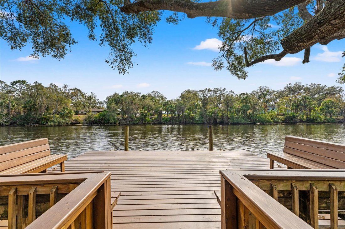 House in Tampa, Florida, United States 4 - 18505688