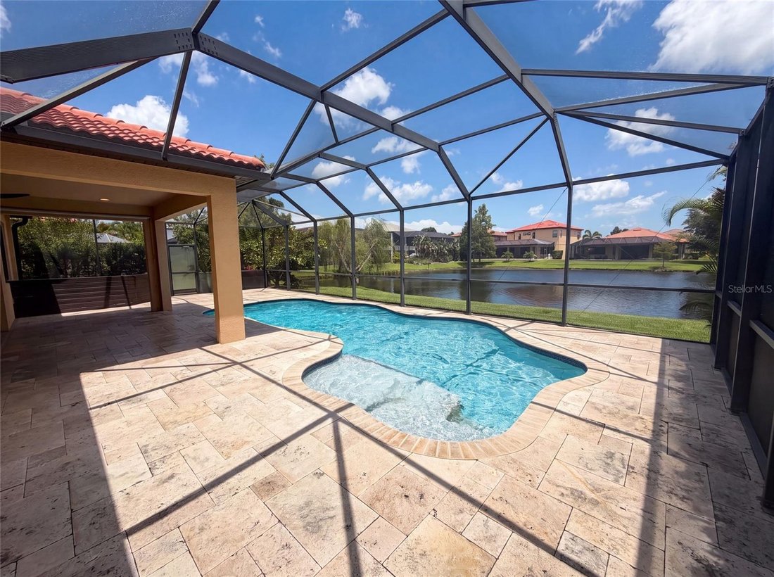 House in Palm Harbor, Florida, United States 3 - 18505664