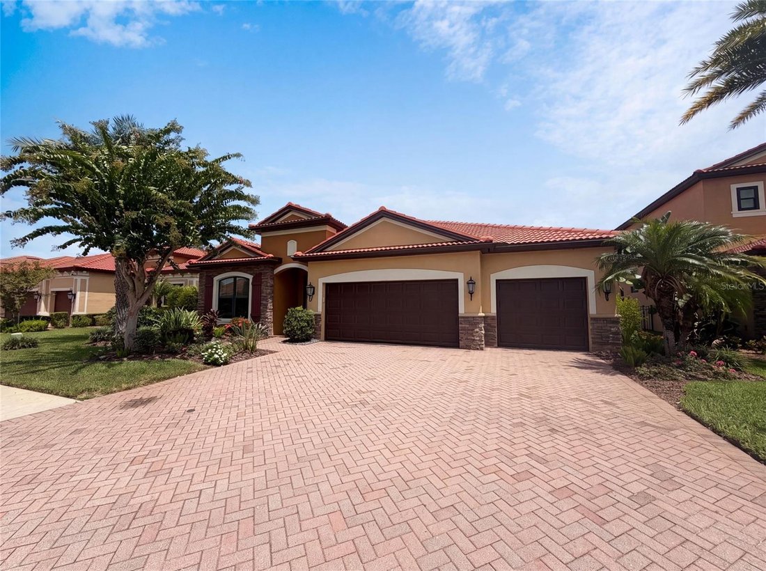 House in Palm Harbor, Florida, United States 1 - 18505664