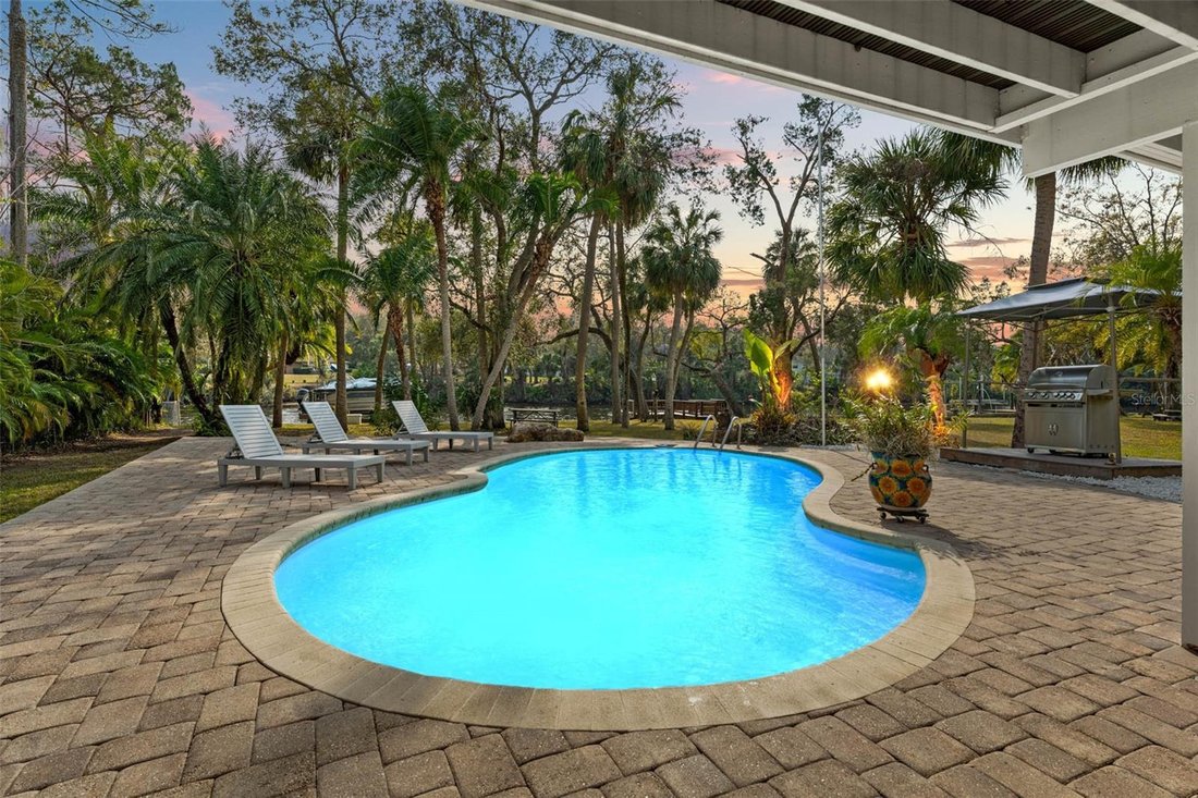 House in Tampa, Florida, United States 3 - 18505688