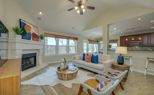 House in Cedar Park, Texas, United States 1