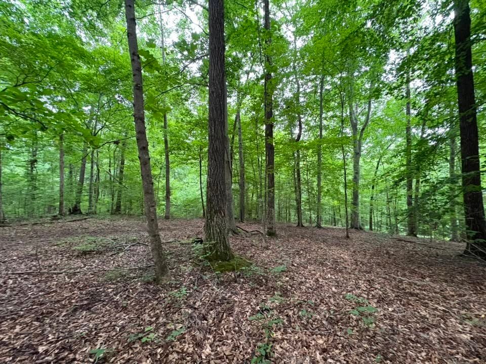 Land in Clarksville, Tennessee, United States 4 - 18506015