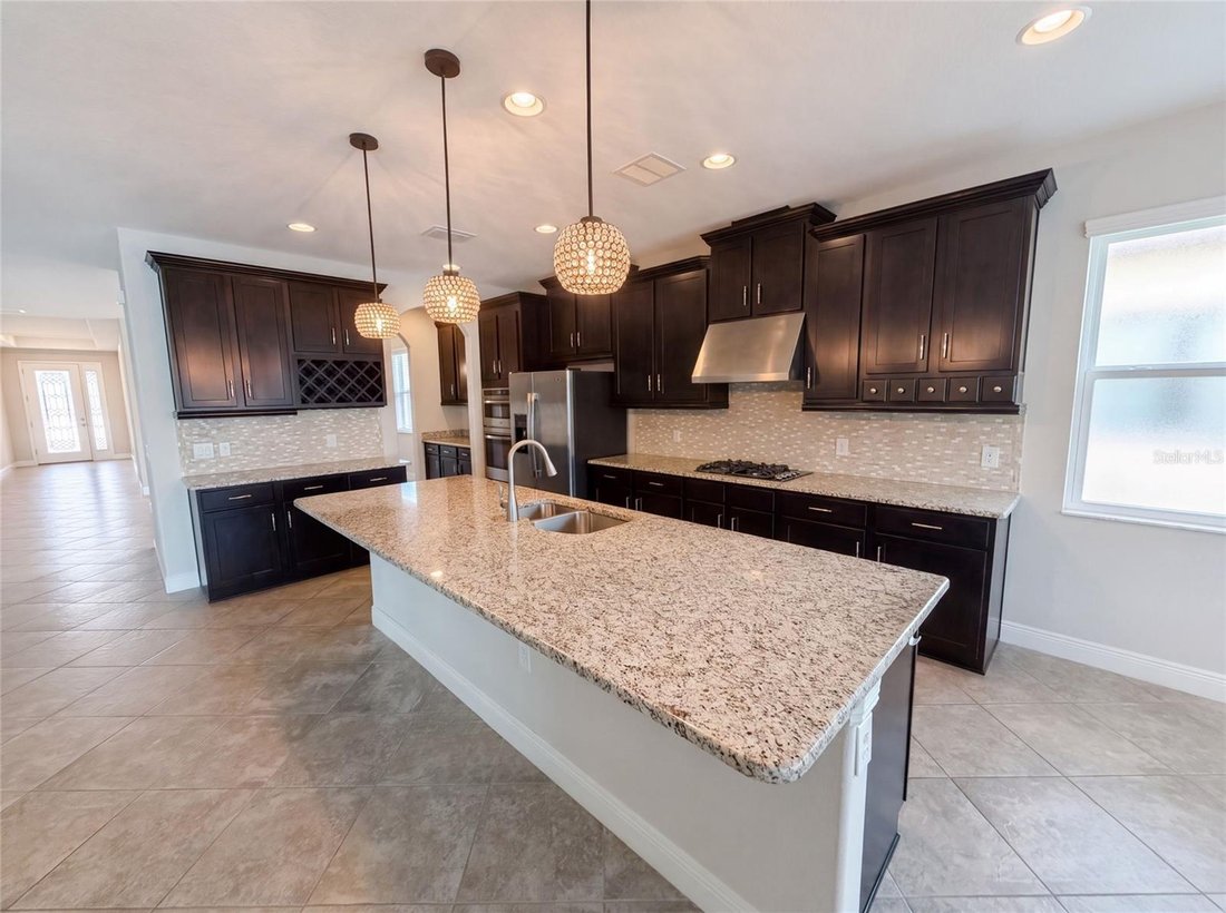 House in Palm Harbor, Florida, United States 5 - 18505664