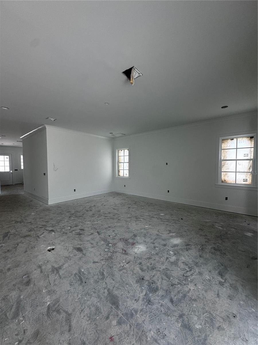 House in Tampa, Florida, United States 5 - 17625610