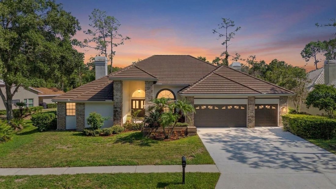 House in Oldsmar, Florida, United States 1 - 18499611