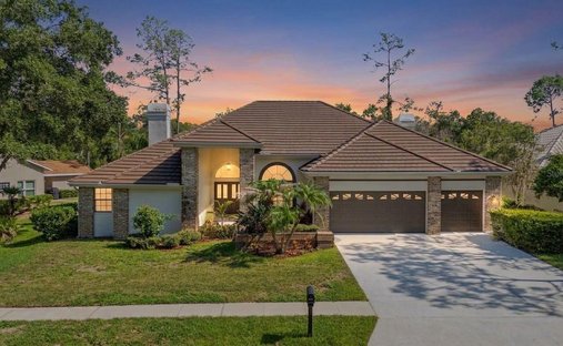 House in Oldsmar, Florida, United States 1