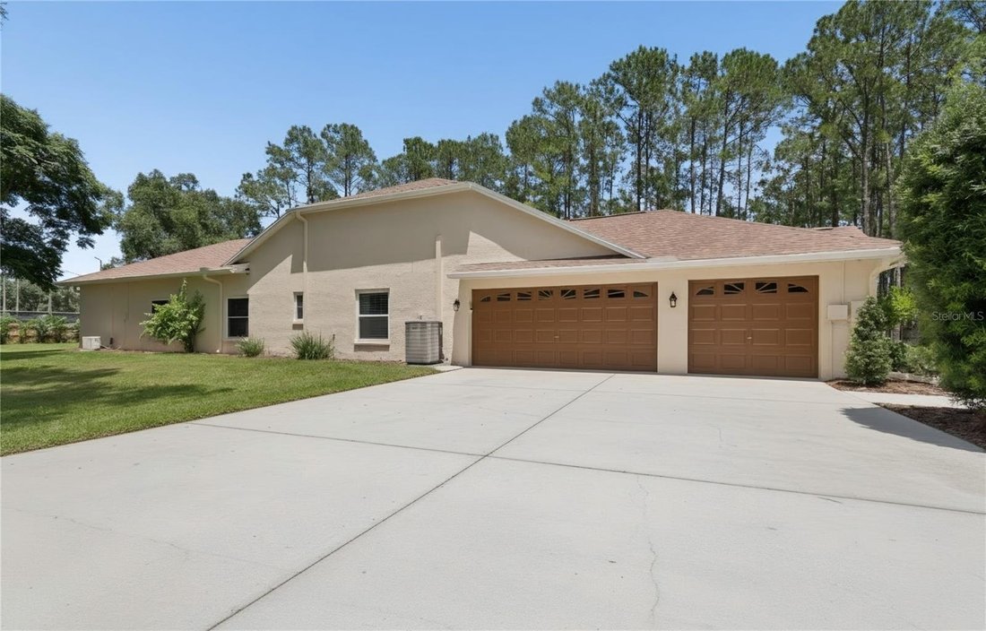 House in Lutz, Florida, United States 5 - 18505705