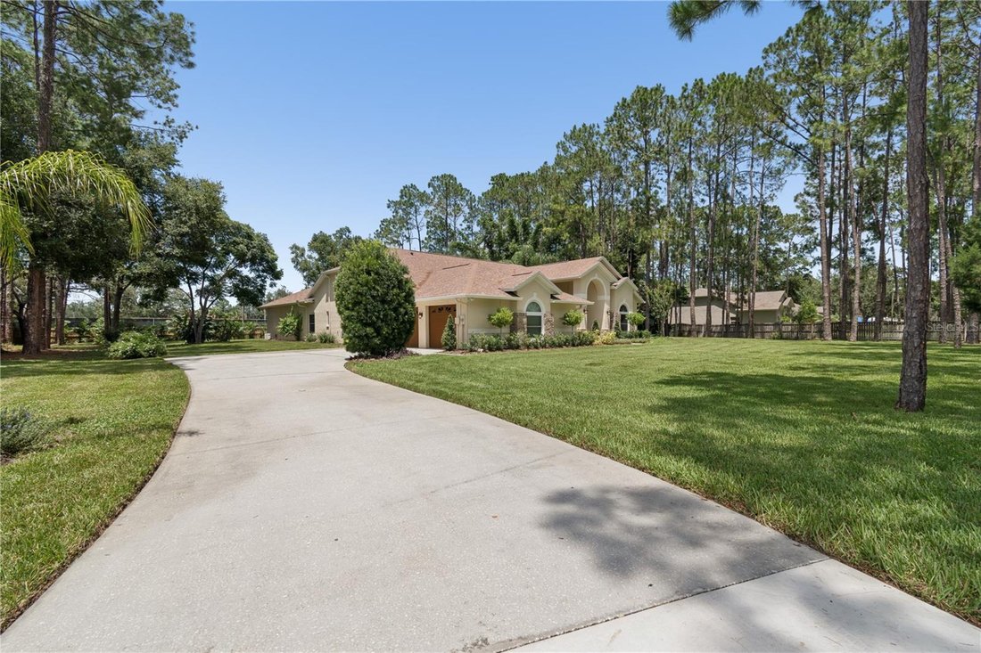 House in Lutz, Florida, United States 4 - 18505705