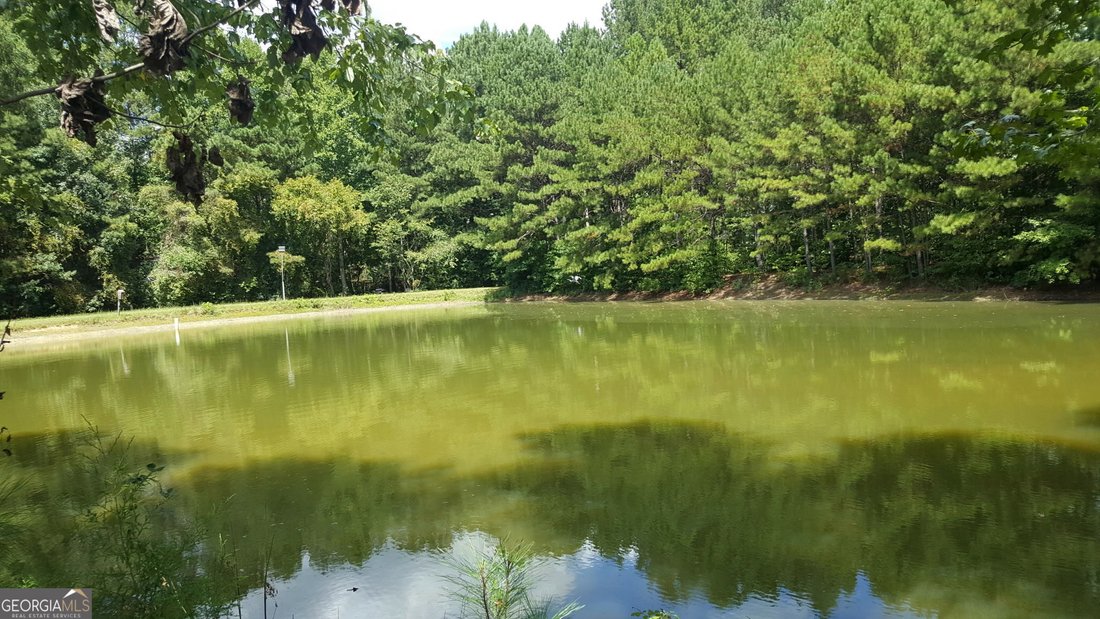House in Newnan, Georgia, United States 4 - 18505911
