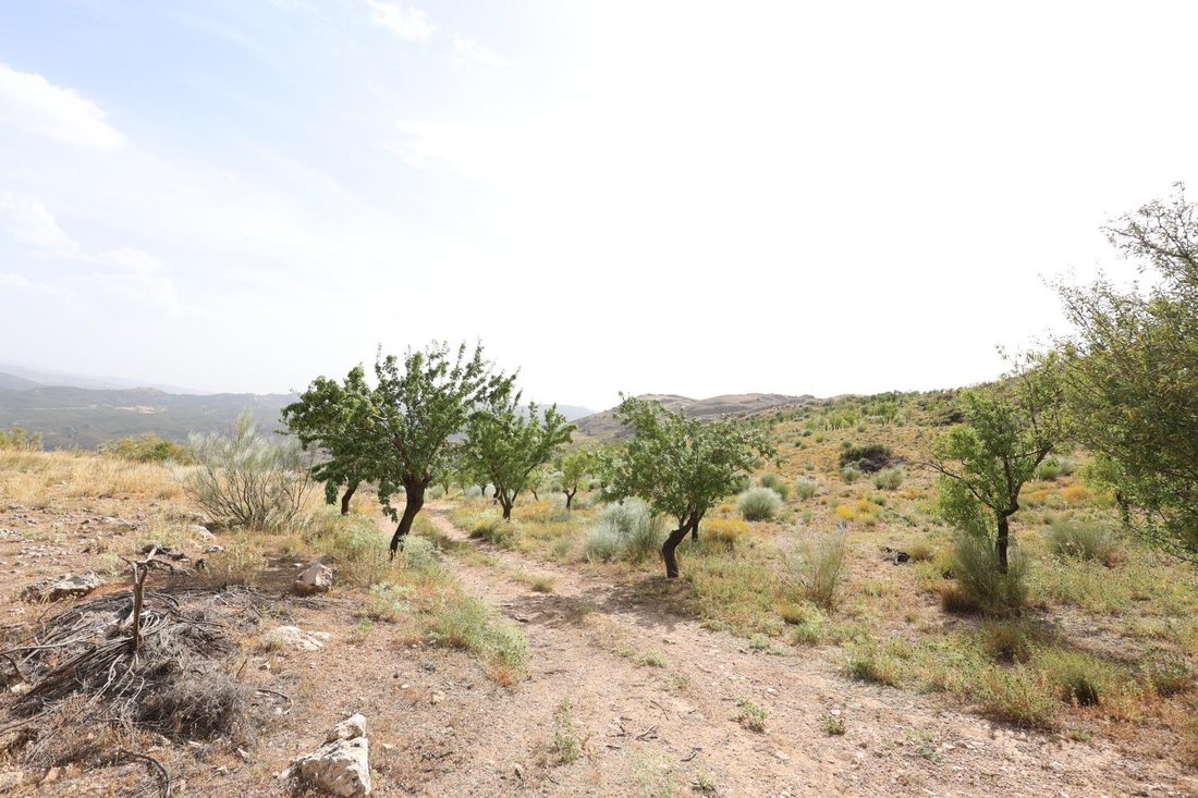 Andere in Darro, Andalusien, Spanien 3 - 18506504