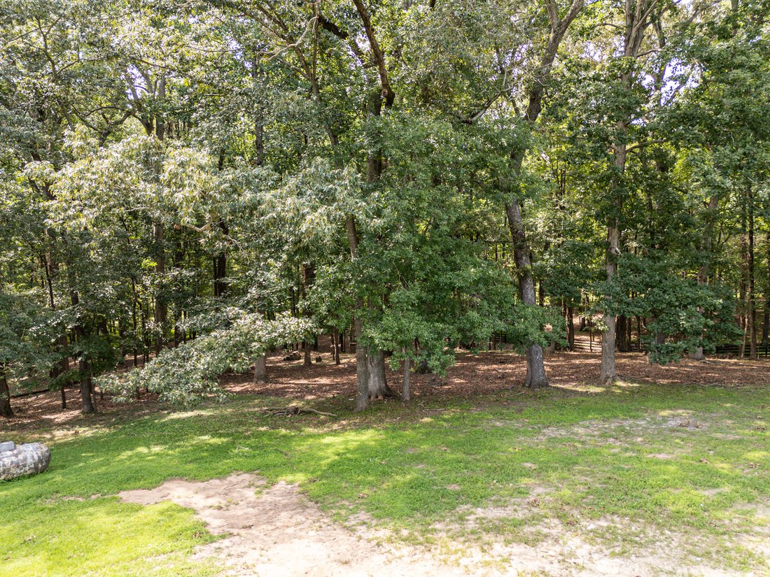Land in Milton, Georgia, United States 3 - 18506509