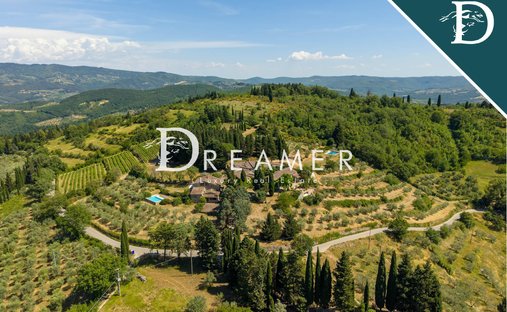 Azienda agricola a Panzano - Montefioralle, Greve in Chianti, Toscana 1