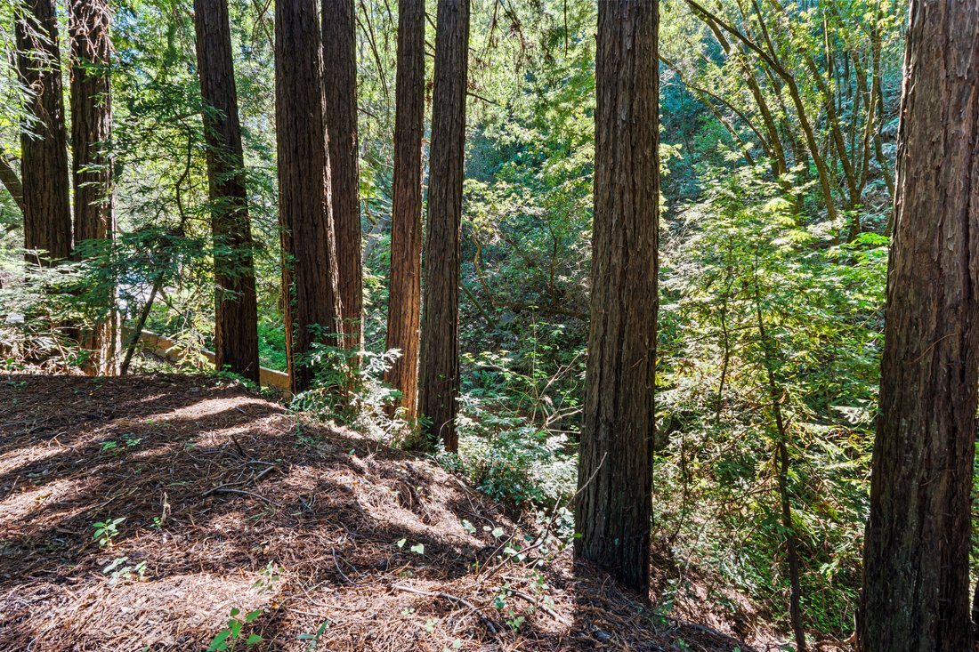Land in Big Sur, California, United States 2 - 18506513