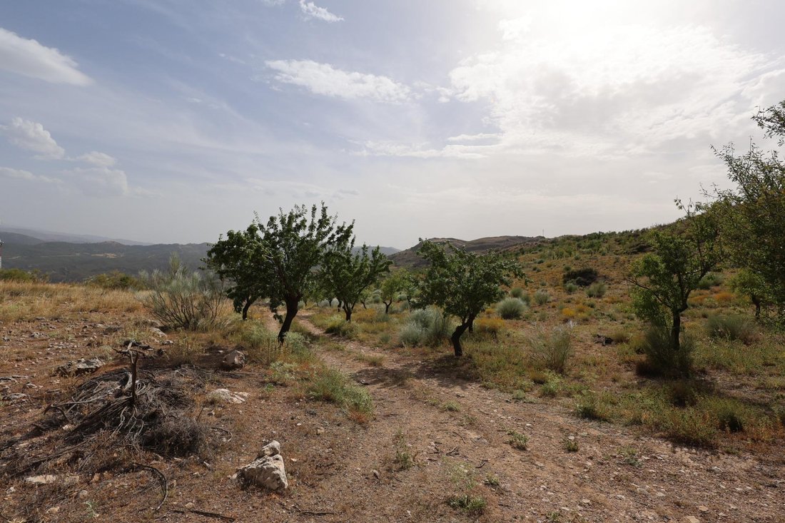 Andere in Darro, Andalusien, Spanien 2 - 18506504
