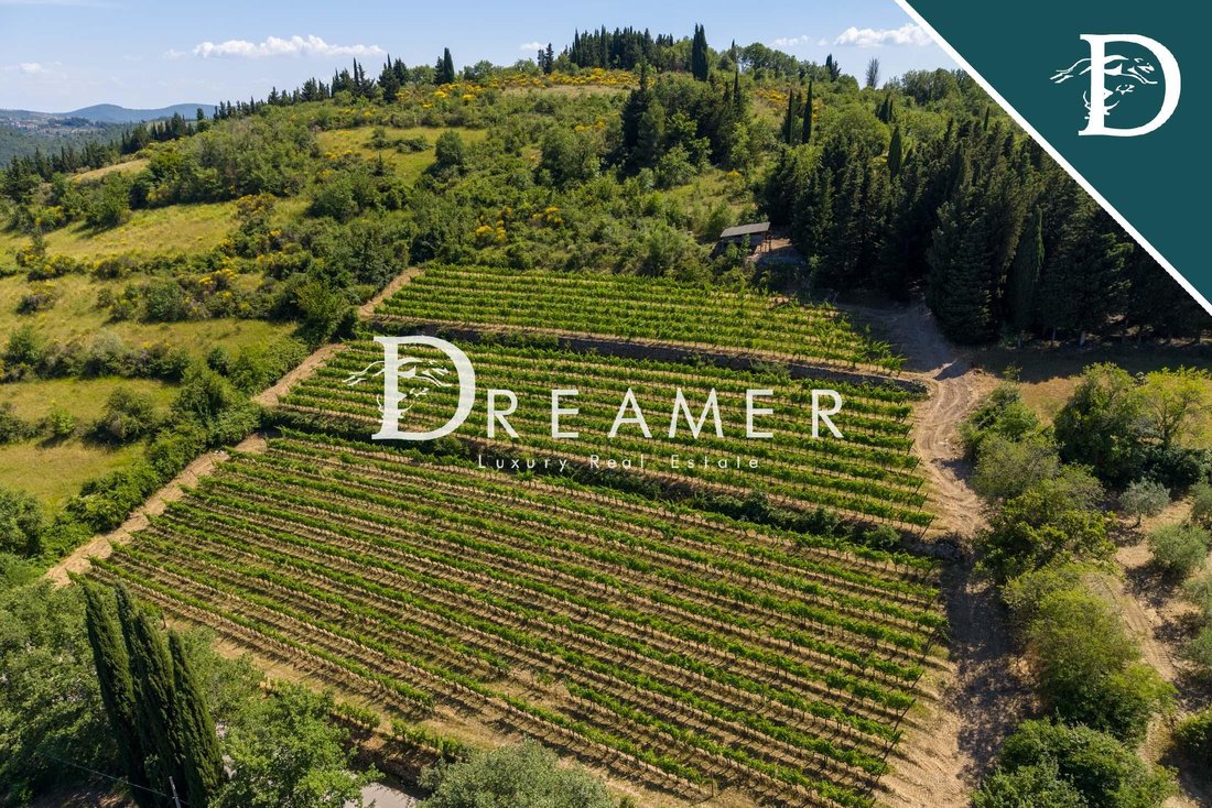 Farm Ranch in Montefioralle, Greve in Chianti, Tuscany 3 - 18258629