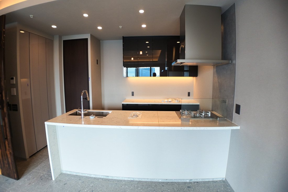 Condo in Minato City, Tokyo, Japan 3 - 18506524