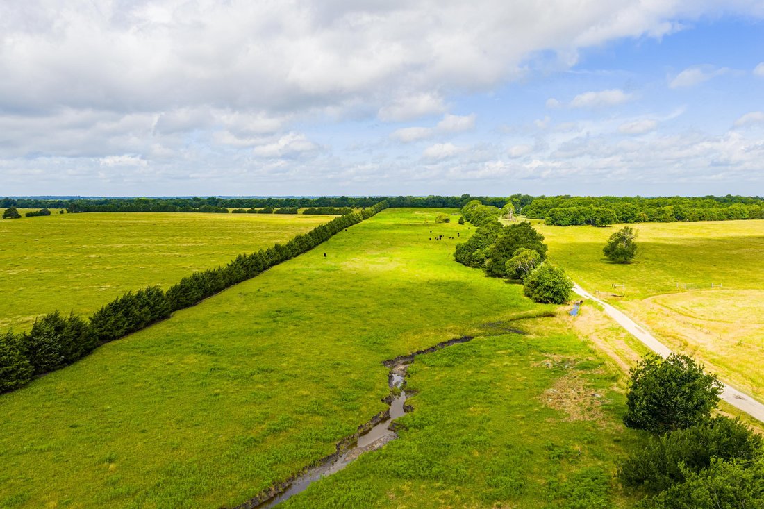 Farm Ranch in Celeste, Texas, United States 5 - 18506554