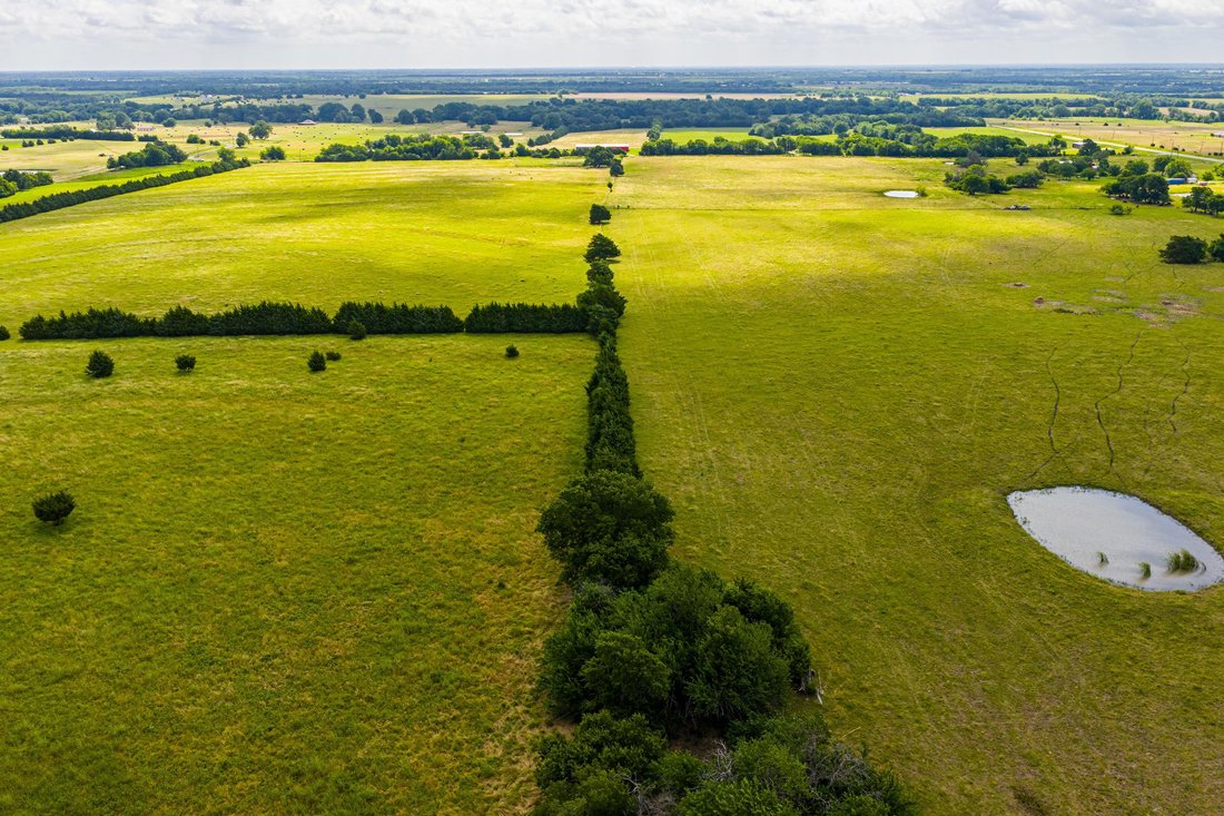 Farm Ranch in Celeste, Texas, United States 3 - 18506554