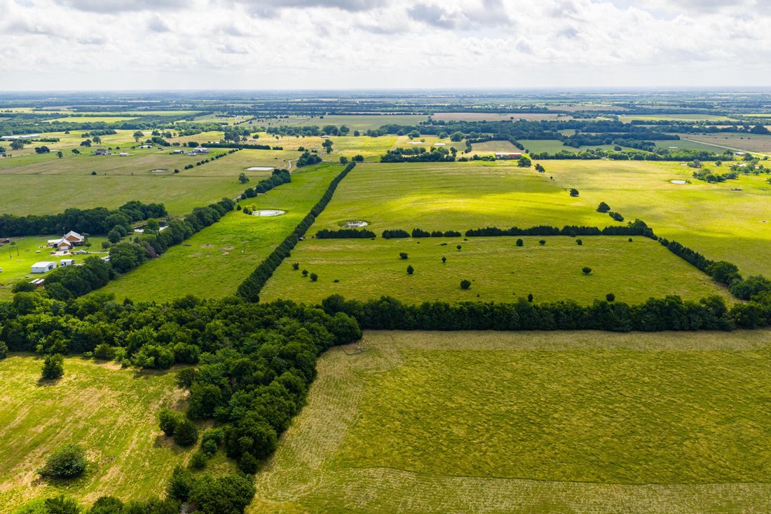 Farm Ranch in Celeste, Texas, United States 2 - 18506554