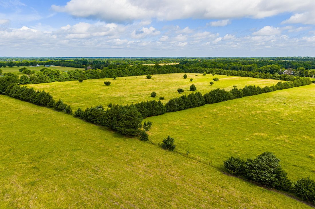 Farm Ranch in Celeste, Texas, United States 1 - 18506554