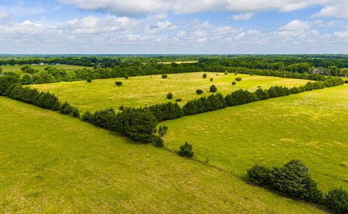 Farm Ranch in Celeste, Texas, United States 1