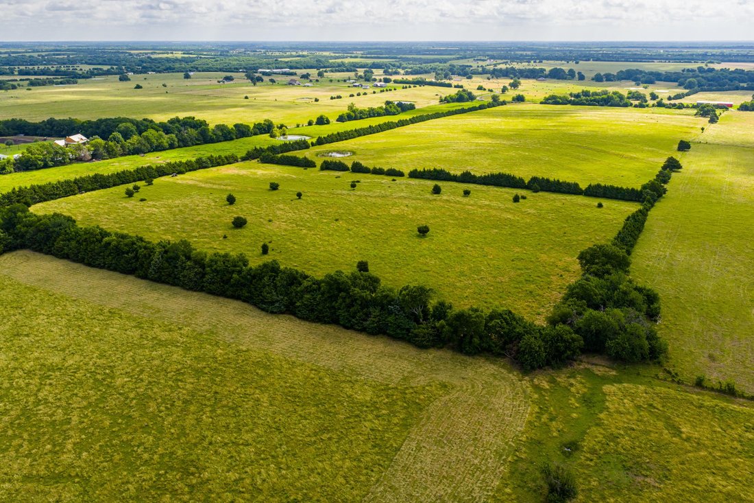 Farm Ranch in Celeste, Texas, United States 4 - 18506554