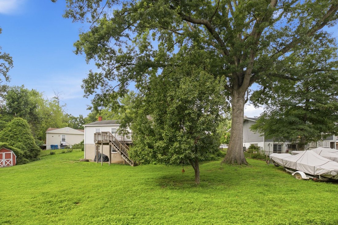 Vienna, Virginia, United States 4 - 18506515