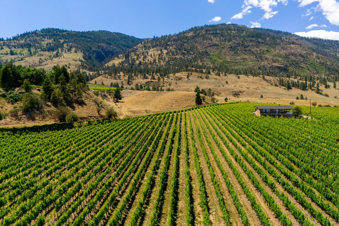 Oliver, British Columbia, Canada 2 - 18506558