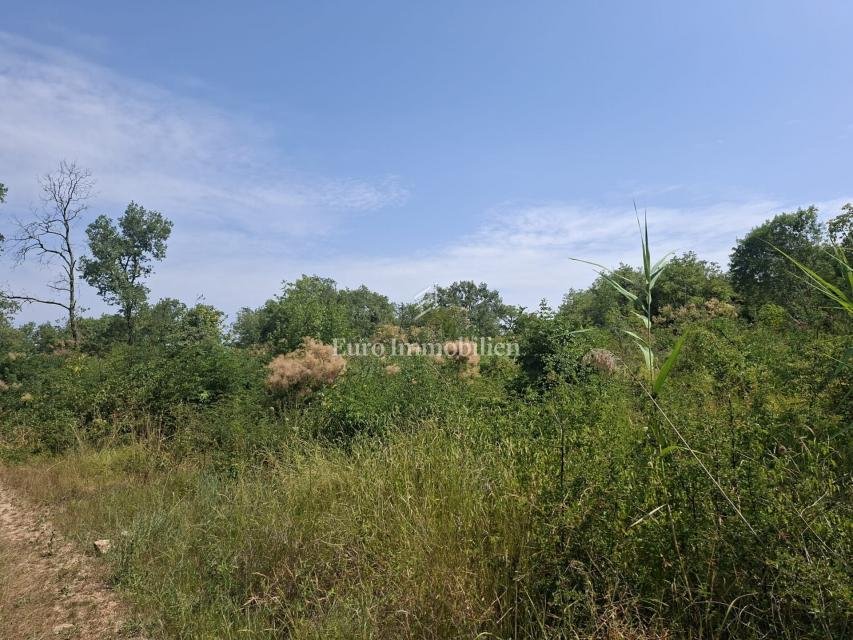 Land in Sveta Marija na Krasu, Istria County, Croatia 5 - 18506802