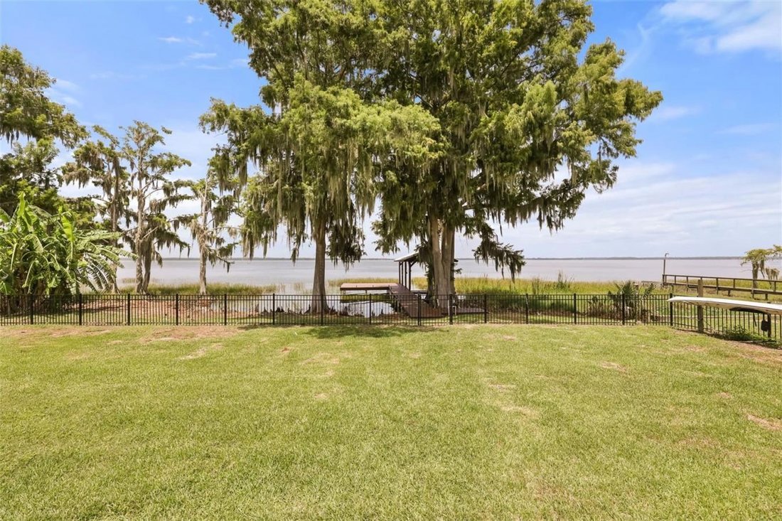 House in Tavares, Florida, United States 1 - 18506751
