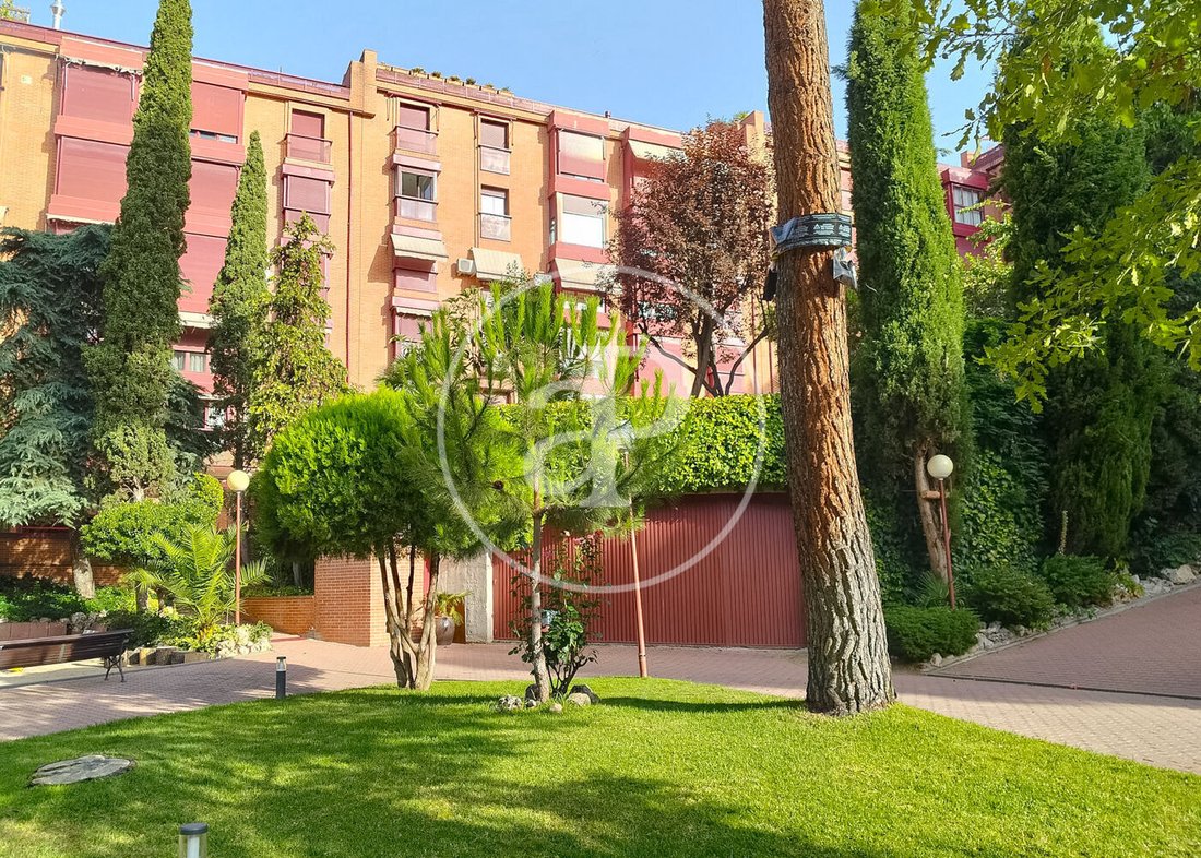 Apartment in Arganzuela, Madrid, Spain 4 - 18497682