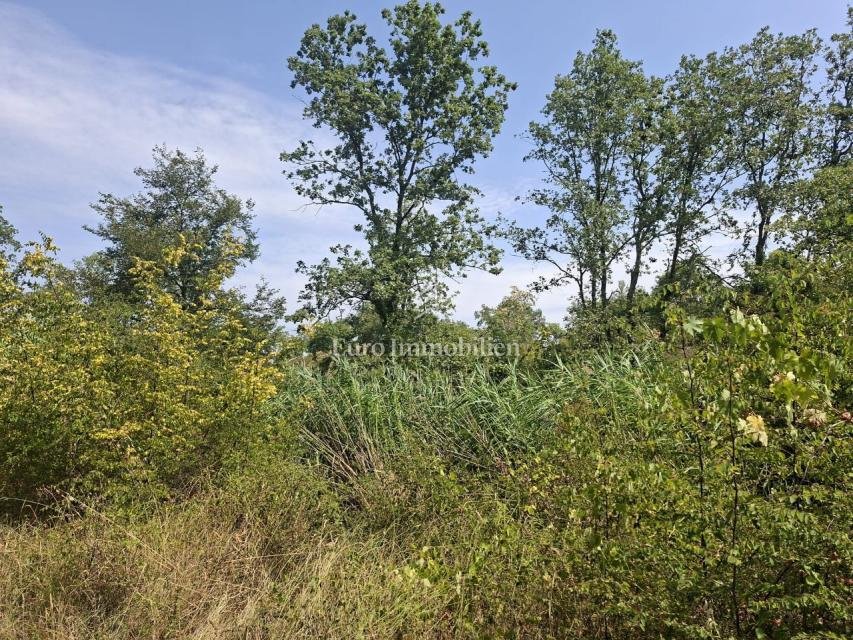 Land in Sveta Marija na Krasu, Istria County, Croatia 2 - 18506802