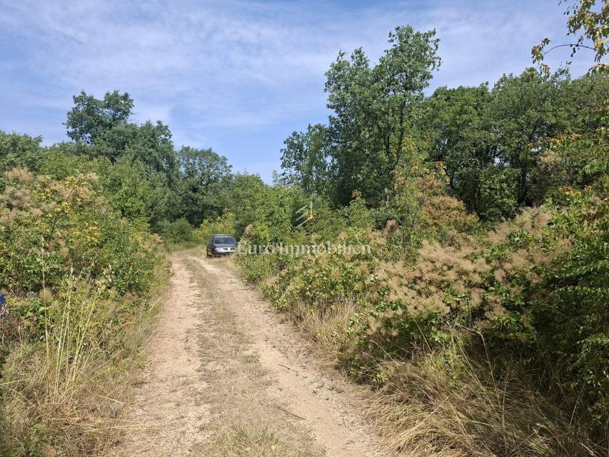 Land in Sveta Marija na Krasu, Istria County, Croatia 4 - 18506802