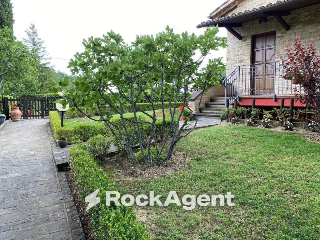 Frontone, Marche, Italy 4 - 18507477