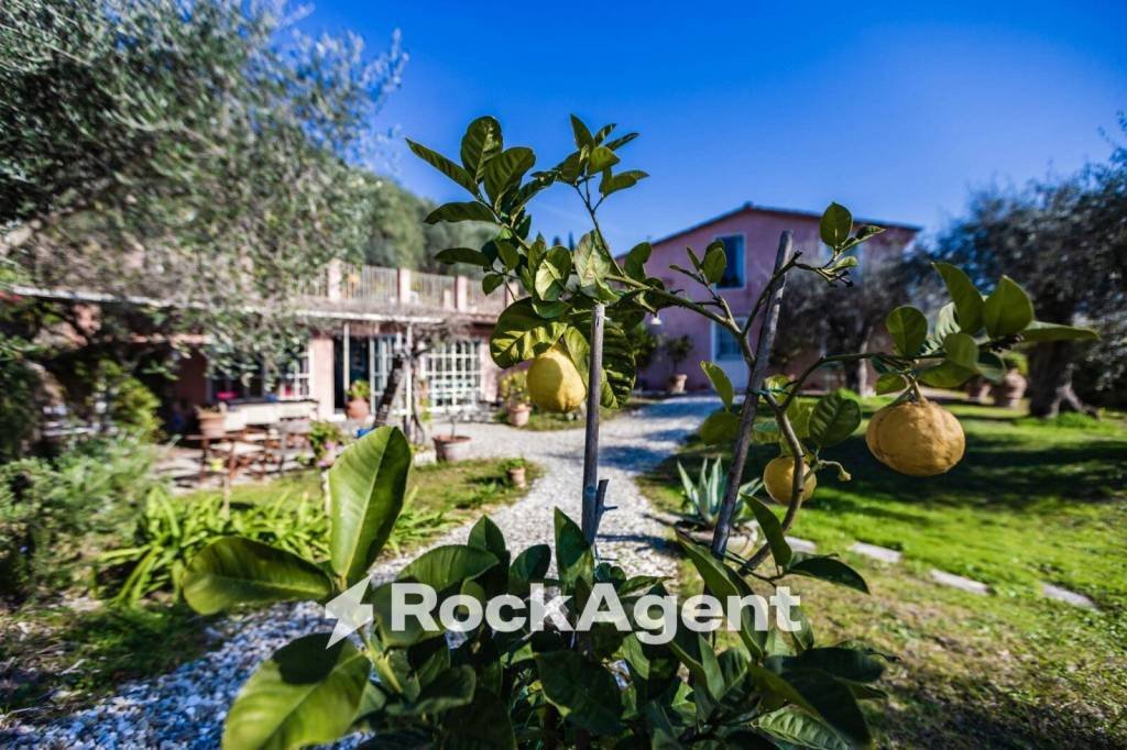 Villa in Montramito, Massarosa, Tuscany 1 - 18507628
