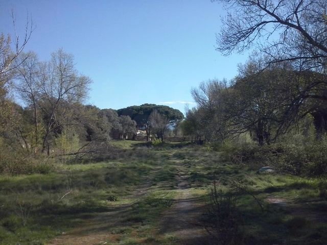 Terreno en Collado Mediano, Comunidad de Madrid, España 2 - 18507686
